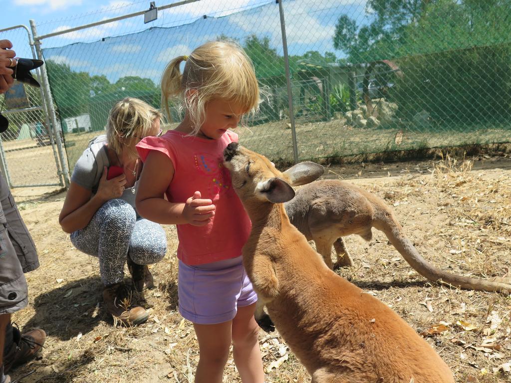 ジュリアン・ベイ Jurien Beachfront Holiday Unitsヴィラ 部屋 写真